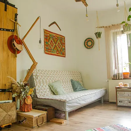 Lupeni Alley Cozy Apartment&private Garden