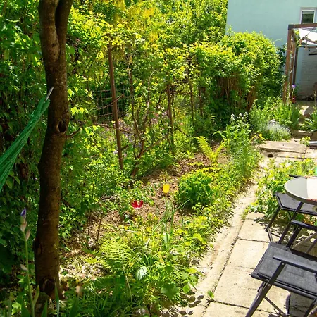 Lupeni Alley Cozy Apartment&private Garden