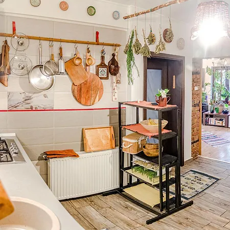 Lupeni Alley Cozy Apartment&private Garden *
