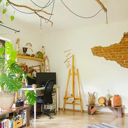 Lupeni Alley Cozy Apartment&private Garden Apartment *