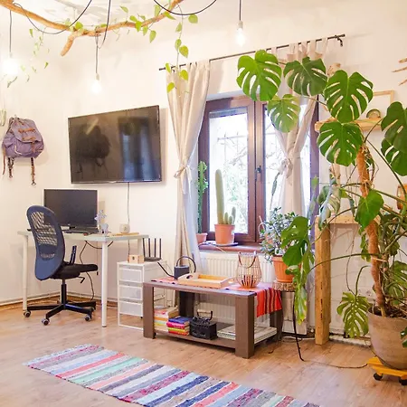 Lupeni Alley Cozy Apartment&private Garden *