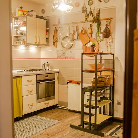 Lupeni Alley Cozy Apartment&private Garden Appartement