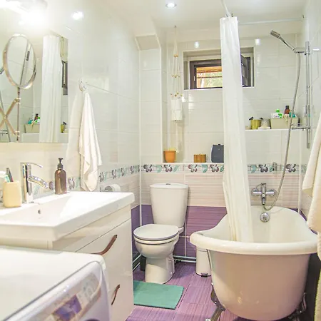Lupeni Alley Cozy Apartment&private Garden Apartment