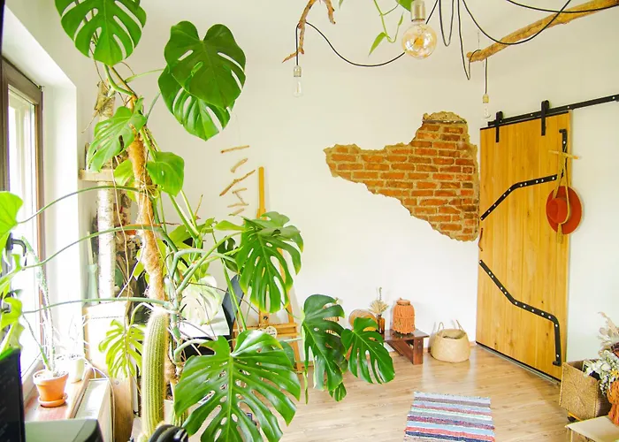 Apartment Lupeni Alley Cozy Apartment&private Garden