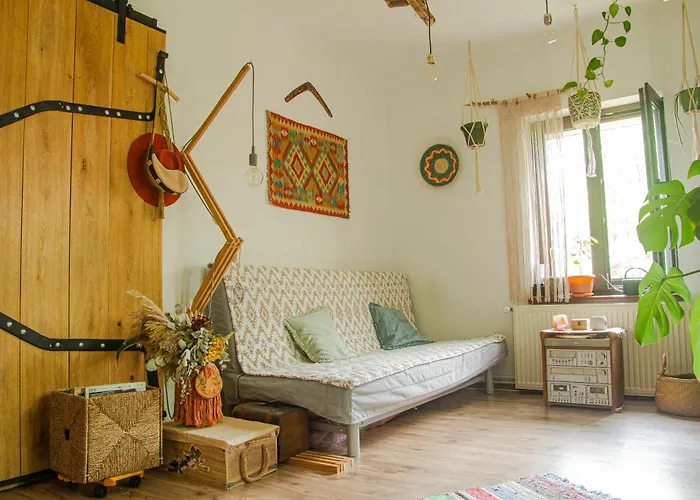 Lupeni Alley Cozy Apartment&private Garden