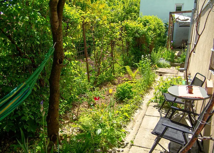 Lupeni Alley Cozy Apartment&private Garden